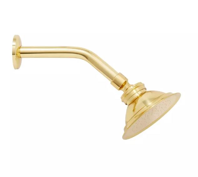 Arrosoir Windom en laiton poli avec pomme de douche par Signature Hardware