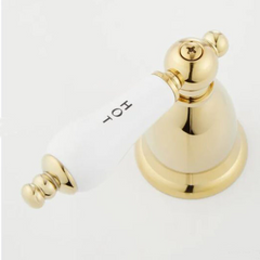 New Polished Brass Victorian Gooseneck Bathroom Faucet & Porcelain Lever Handles - Signature Hardware